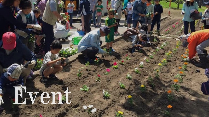 企画展「加藤コレクション展vol.1〜世界のムシ大集合〜」