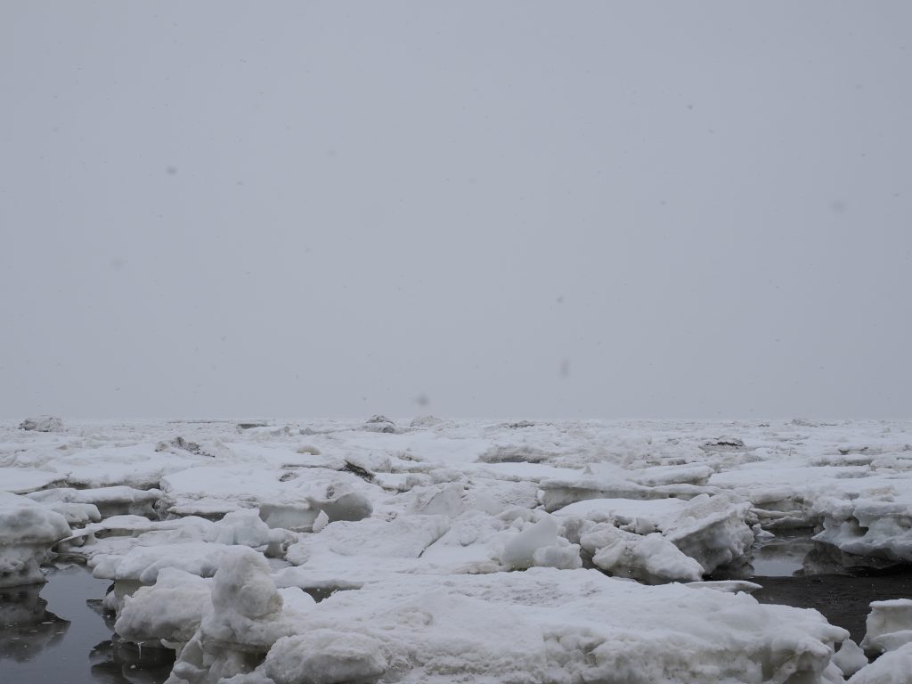 博物館講座「流氷観察会」